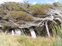 Albums/20060200-New Zealand 2006/20060212-south/6